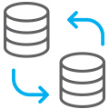 website database icon